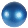 Gymball HAWK Anti-Bust 65 cm