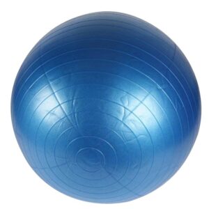 Gymball - průměr 65 cm s ochranou proti prasknutí.