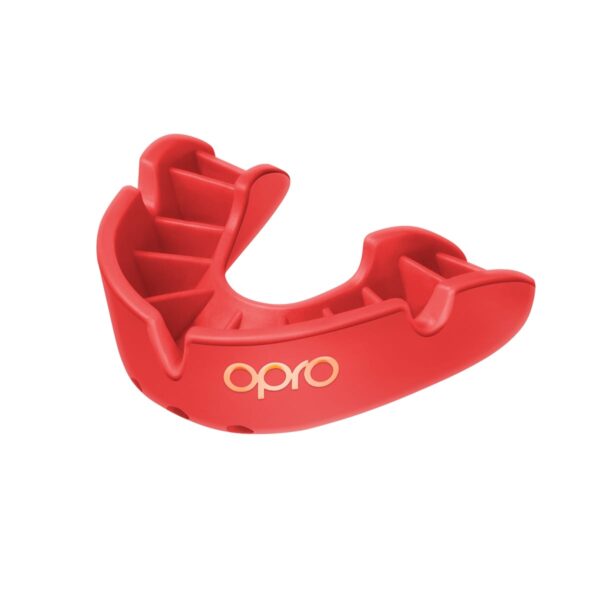 11310_chranice-zubu-opro-cervene