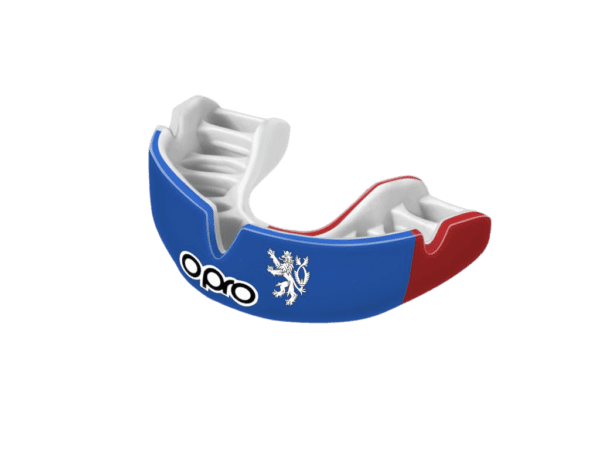 13963_chranice-zubu-opro-ceska-vlajka