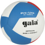 Volejbalový míč pro náročné sportovce.