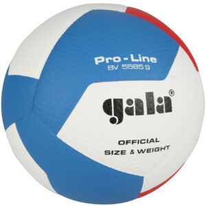 Volejbalový míč pro náročné sportovce.