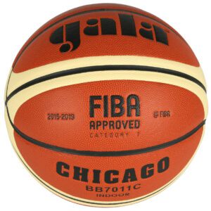 Basketbalový míč pro nejvyšší soutěže.