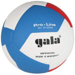 Volejbalový míč pro soutěže.
