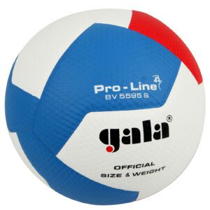 Volejbalový míč pro nejvyšší soutěže.