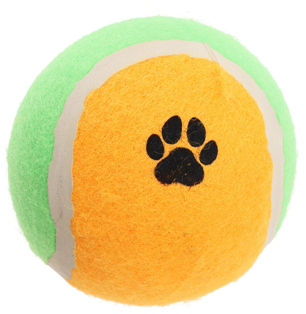 Velký míček Dog Ball 10 cm