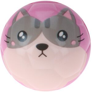Gumový házecí míček průměr 62 mm.