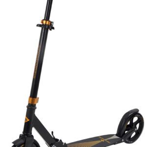 Skládací koloběžka s nosností 100 kg.