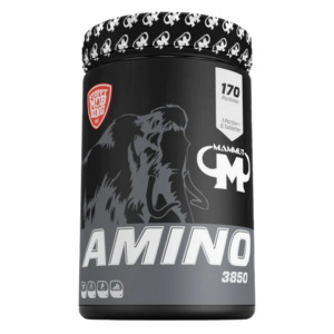 Mammut Amino 3850
