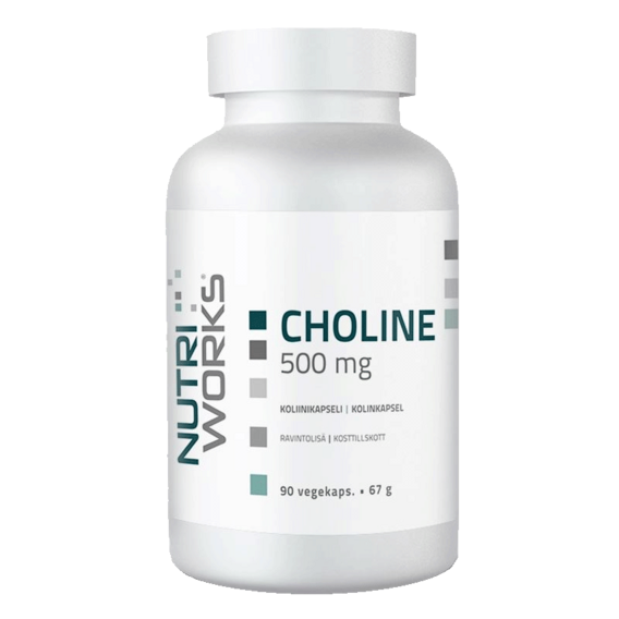 NutriWorks Choline 500mg