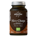 Hifas da Terra Mico-Chaga Bio