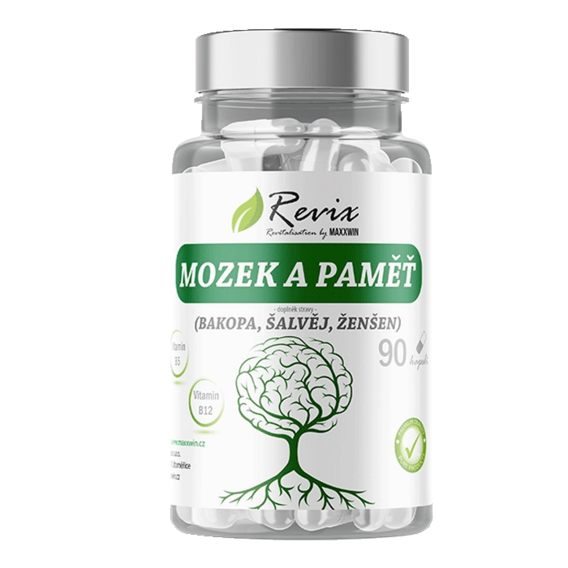 Revix Mozek a Paměť